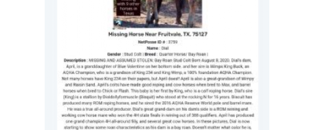 NetPosse Alert for 10 Horse Missing From Fruitvale, TX Assumed Stolen 