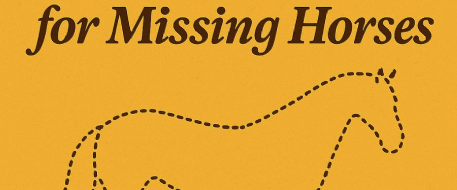 Netposse Quick Alert Instruction For Missing Horses