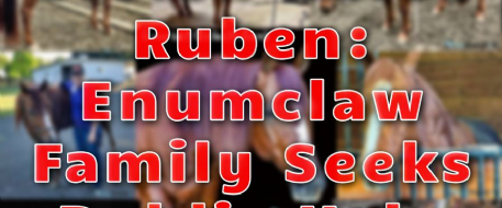 Stolen Horse Ruben: Enumclaw Family Seeks Public Help