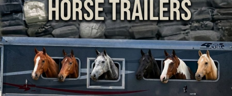 Drug Bust Exposes Hidden Crimes in Horse Trailers