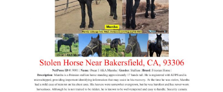 URGENT: Family Pleads for Return of Beloved Friesian Horse Stolen from Bakersfield CA