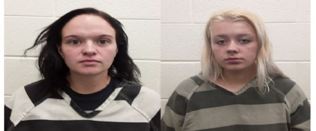 Stolen Tennessee Horse Recovered, Two Women Charged