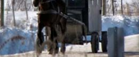 News in Canada: Mennonite Buggy stolen from Milverton