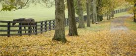 Preventative Theft Therapy-Part One (September 2012)