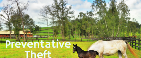 Preventative Theft Therapy, Part Two (October 2012)