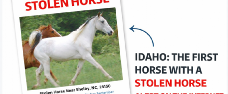 DOWNLOAD AND PRINT NETPOSSE PDF FLYERS