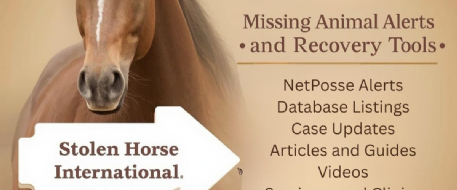 NetPosse's Content Machine Explained