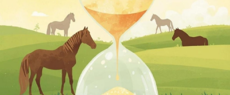 Act Fast: Support NetPosse! - Year-End Program App