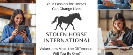 Join The Team That Brings Horses Home