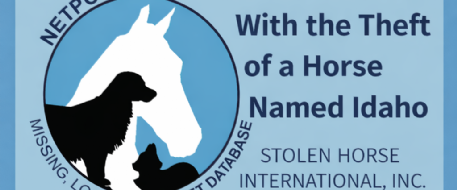 It Started With the Theft of a Horse Named Idaho