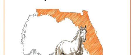 Civil Theft Laws in the US: Why Florida Matters