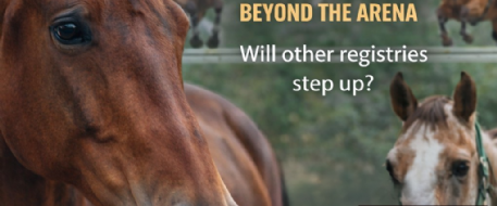 USEF Lifetime Care Feature - A Step For Horses