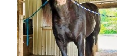 Farm Watch Community Guide by NetPosse.com