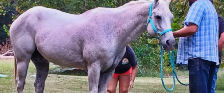 Bonnie and Blue - A Devastating Theft in Texas