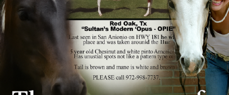 The Power Behind NetPosse Cold Cases