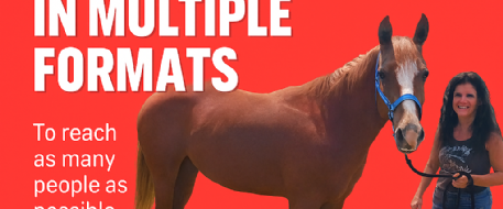 Why NetPosse Uses Multiple Formats for Alerts