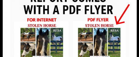 Why Every NetPosse Report Comes With a PDF Flyer