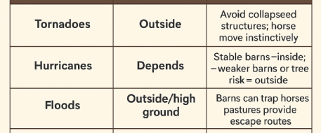 Horses: In the Barn or Out During Storms?