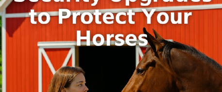 Smart Barn Security Upgrades to Protect Your Horse