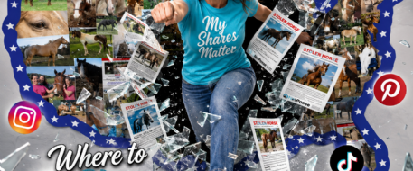 Where to Share NetPosse Stolen Horse Alerts 
