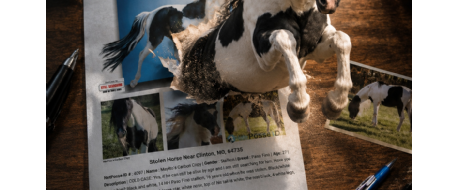 Why Printing NetPosse Flyers Helps Find Horses