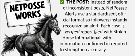 Why NetPosse Alerts Matter And How You Can Help