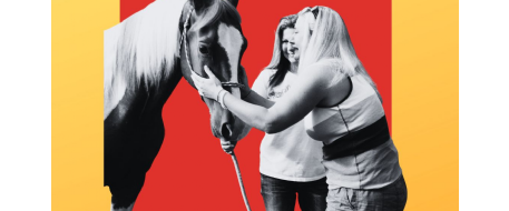 Stolen, Missing Horse Tips That Increase Recovery