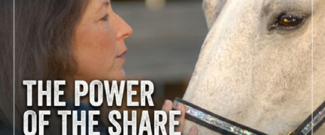 Every Horse Lover Needs to Share NetPosse Alerts