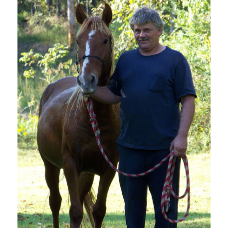 MISSING Horse - Cheyenne