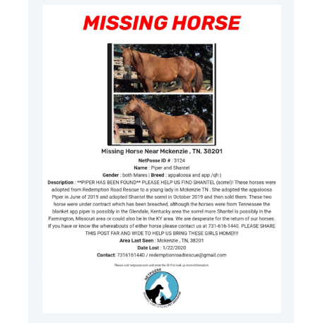 MISSING Horse - Shantel