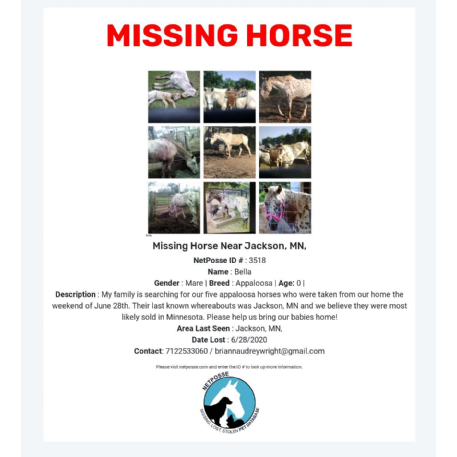 MISSING Horse - Bella