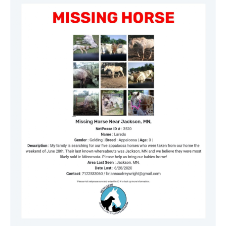 MISSING Horse - Laredo