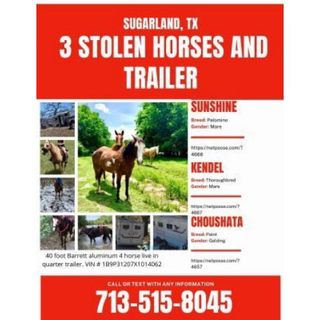 STOLEN Horse - Coushatta