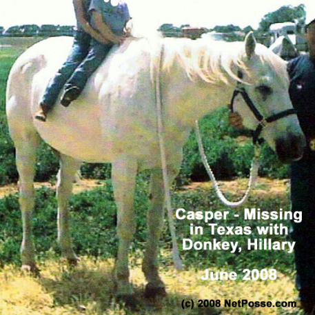 MISSING Horse - Casper