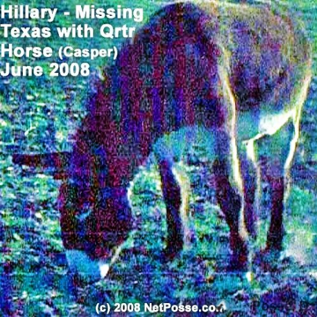 MISSING Horse - Hillary