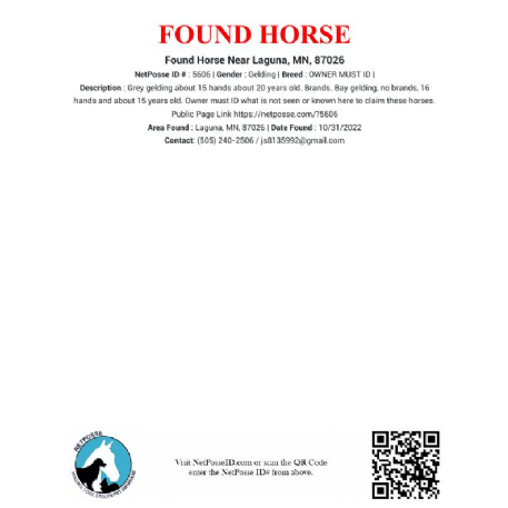 FOUND OWNER MUST ID Horse