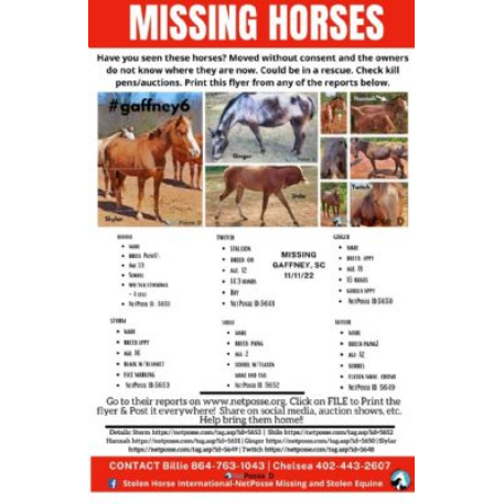 MISSING Horse - Ginger