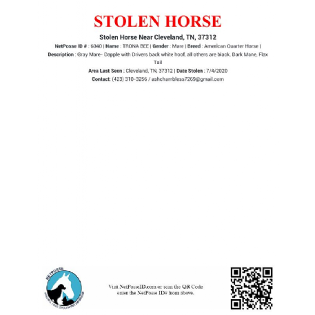 STOLEN Horse - TRONA BEE