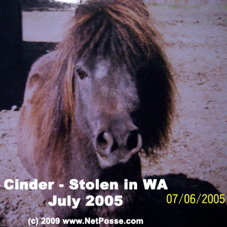 STOLEN Horse - South Swank's Cinder