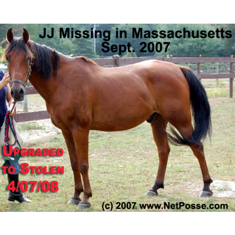 MISSING Horse - J.N. Wonder