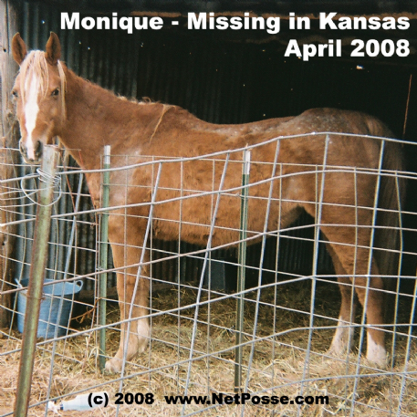 MISSING Horse - Owl Creek Monique