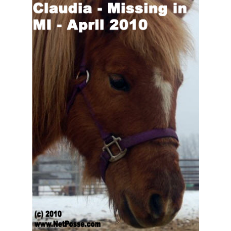 STOLEN Horse - Claudia