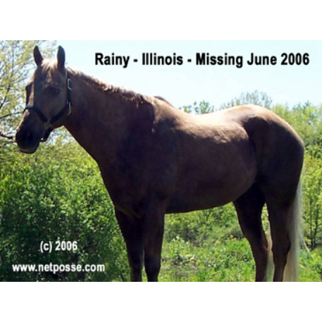 MISSING Horse - Rainy Day Walker