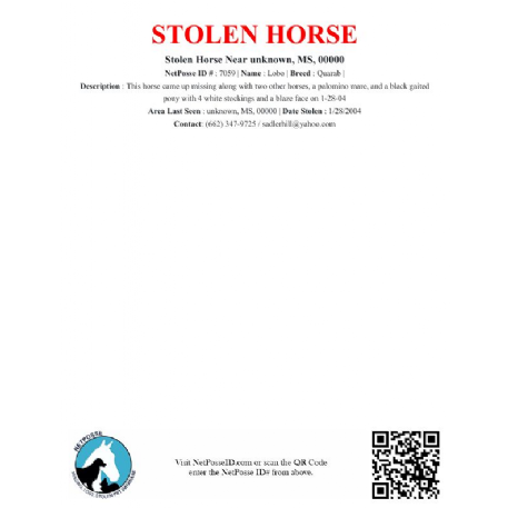 STOLEN Horse - Lobo