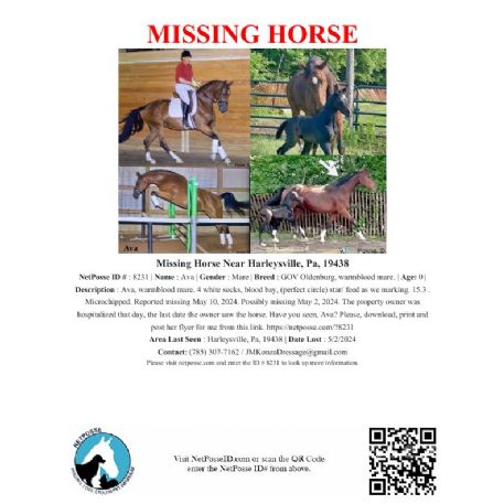 MISSING Horse - Ava