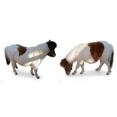 RECOVERED Horse - Rosie 