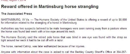 Crimes On Horses: Reward offered in Martinsburg horse strangling