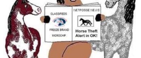 Two Horses Missing in Canada on December 29, 2014