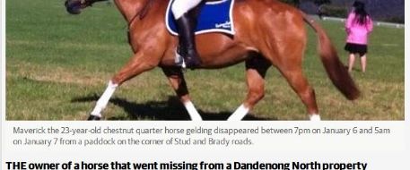 Hunt on for beloved horse Maverick, missing from Dandenong North