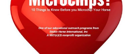 10 Things to Know Before You Microchip Your Horse